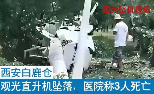 白鹿被媒体爆料视频,揭秘幕后真相 第2张 白鹿被媒体爆料视频,揭秘幕后真相 第2张